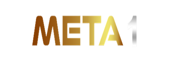 meta1-coin-542x204